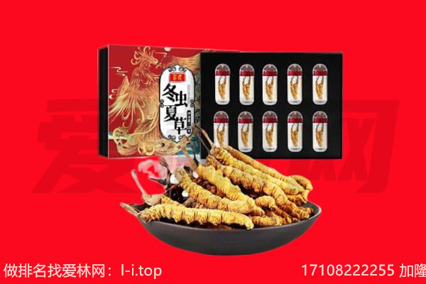 延安回收虫草.jpg